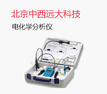 北京中西远大科技有限公司